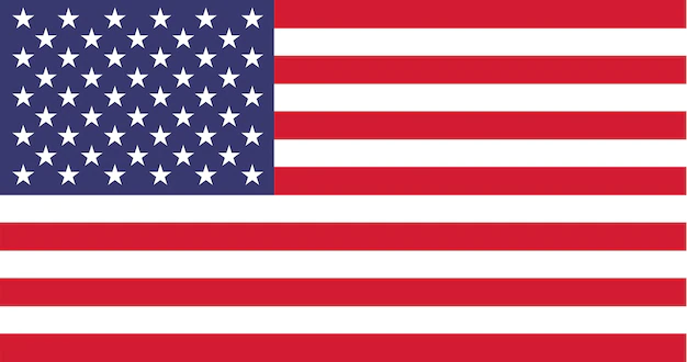 Free Vector | Illustration of usa flag
