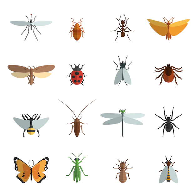 Free Vector | Insect icon flat