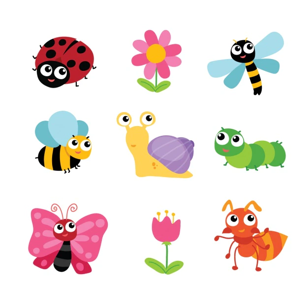 Free Vector | Insects and flowers collection