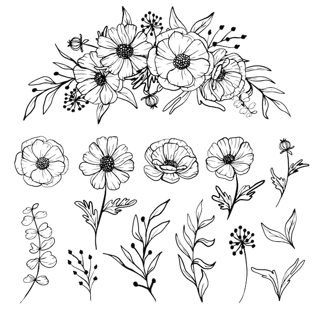 Free Vector | Isolated daisy line art floral clipart
