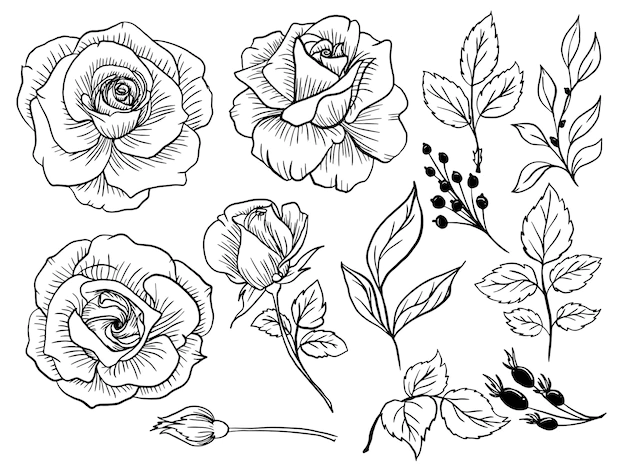 Free Vector | Isolated rose flower line art doodle with leaves element