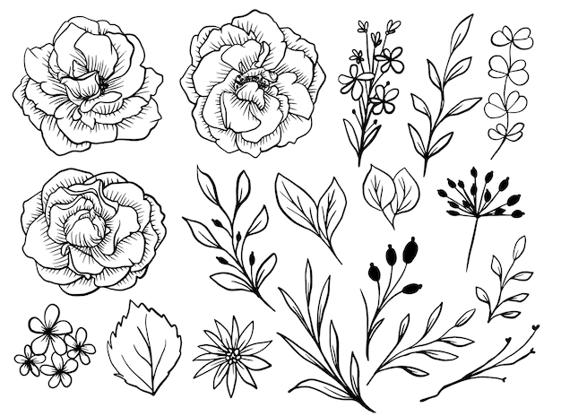 Free Vector | Isolated rose flower line art drawing with leaves