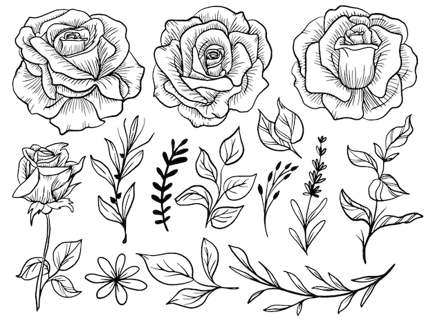 Free Vector | Isolated rose flower line art with leaf clipart