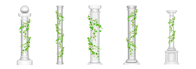 Free Vector | Ivy columns, antique pillars with green climbing liana plant leaves on white