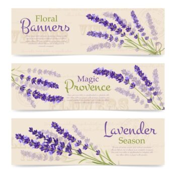 Free Vector | Lavender realistic banner template