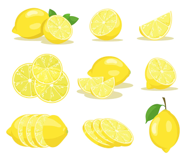 Free Vector | Lemon slices illustrations set