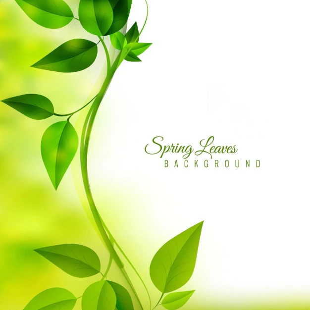 Free Vector | Limb with green leaves on unfocused background