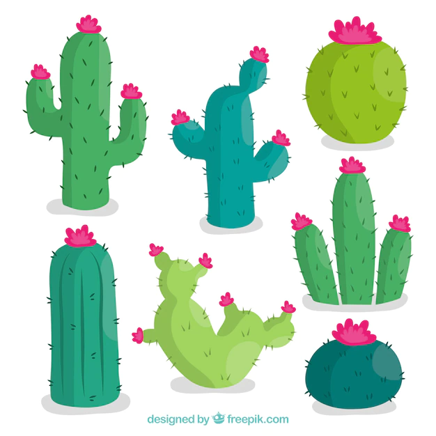 Free Vector | Lovely cactus pack with colorful style