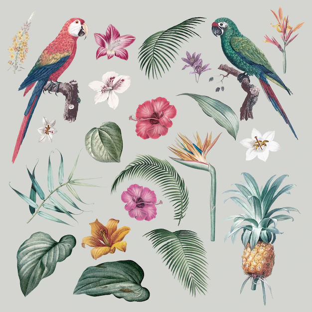 Free Vector | Macaws and foliage illustration