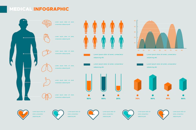 Free Vector | Medical infographic template with human body