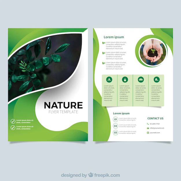 Free Vector | Modern nature flyer template
