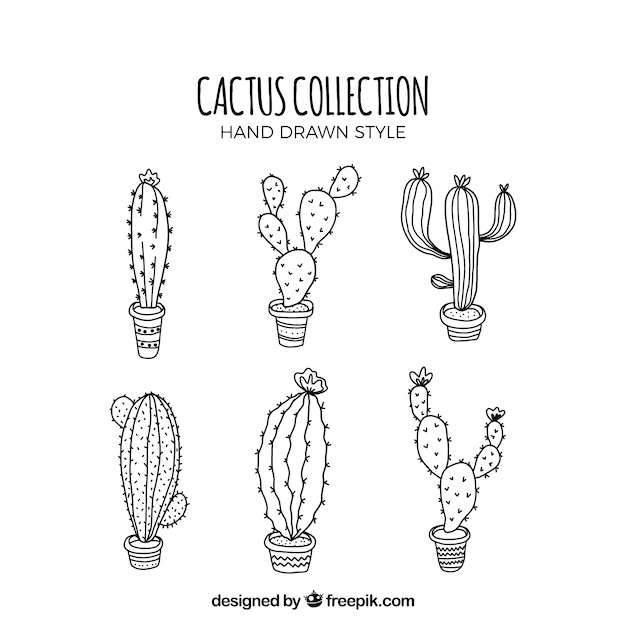 Free Vector | Modern set of sketchy cactus