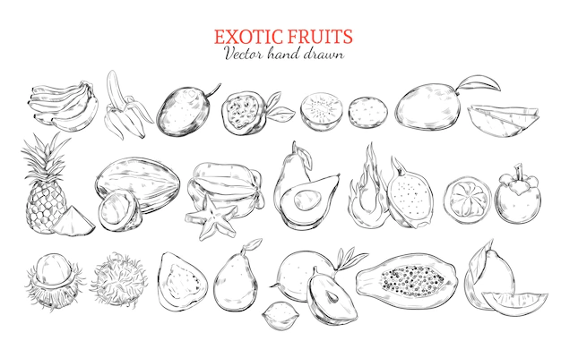 Free Vector | Monochrome exotic and tropical fruits collection