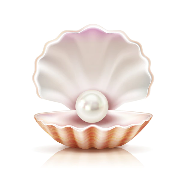 Free Vector | Mother of pearl shining in open shell