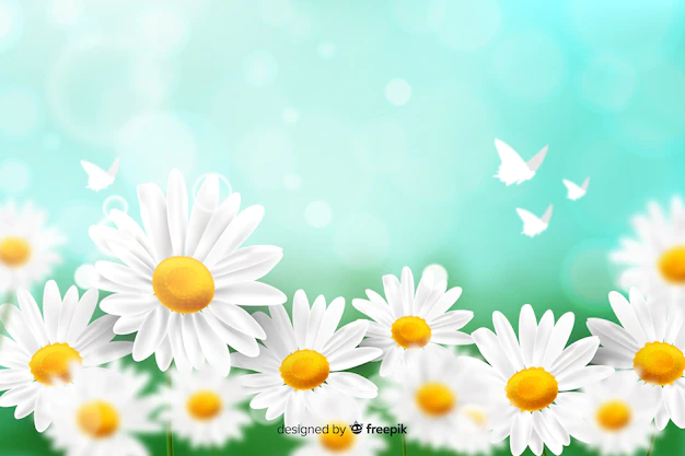 Free Vector | Natural background with realistic flowers