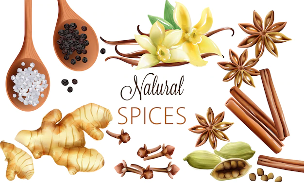 Free Vector | Natural spices composition with salt, black pepper, ginger, cinnamon sticks and vanilla