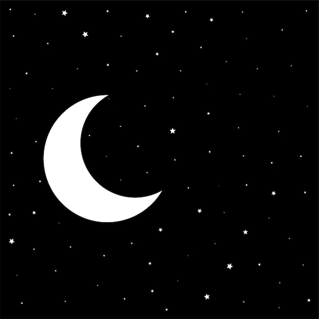 Free Vector | Night black sky with moon and stars