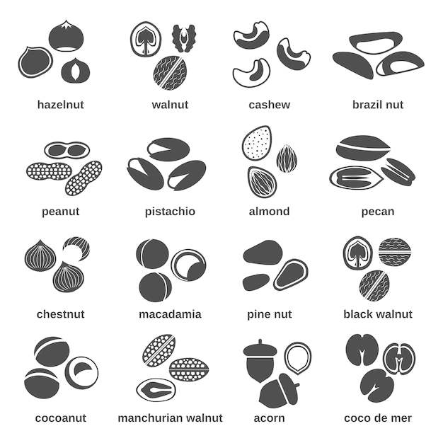 Free Vector | Nut icons black