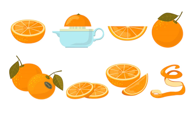 Free Vector | Orange fruit  icon kit