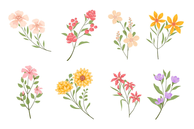 Free Vector | Organic flat flower collection