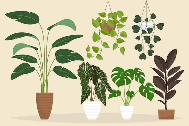 Free Vector | Organic flat houseplant collection