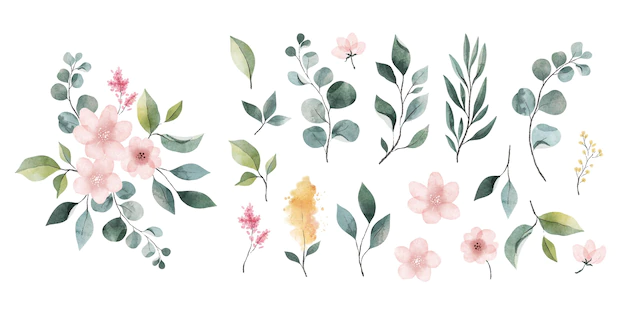 Free Vector | Pack of watercolor leaves and flowers