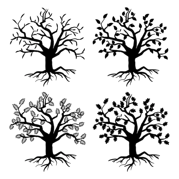 Free Vector | Park old trees.  tree silhouettes with roots and leaves. monochrome tree flora of collection illustration