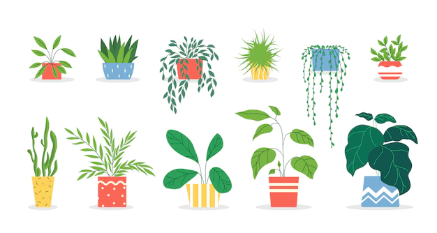 Free Vector | Potted plants set