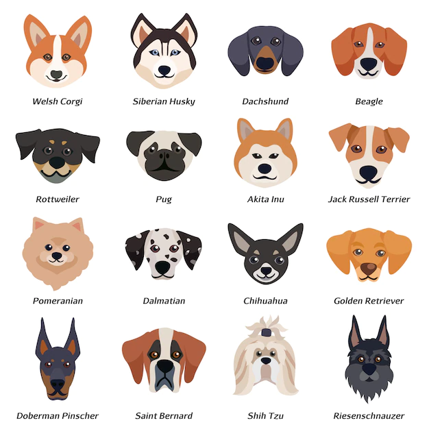Free Vector | Purebred dogs faces icon set