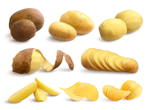 Free Vector | Raw and fried potato set of crude treated chopped and chips realistic