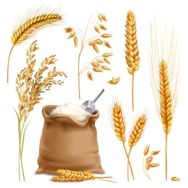 Free Vector | Realistic agricultural crops set
