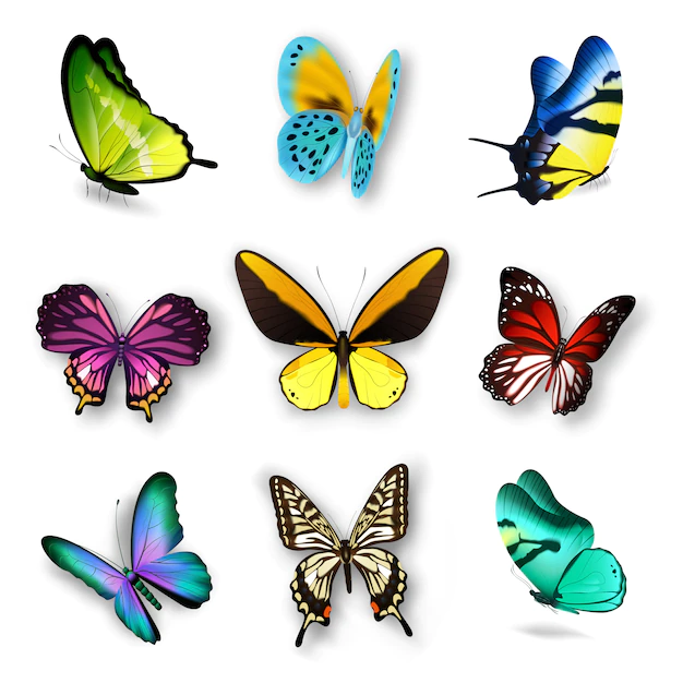 Free Vector | Realistic butterfly set