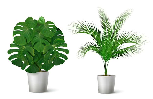 Free Vector | Realistic composition with potted tropical plants illustration