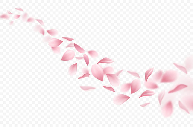 Free Vector | Realistic flying sakura petals illustration