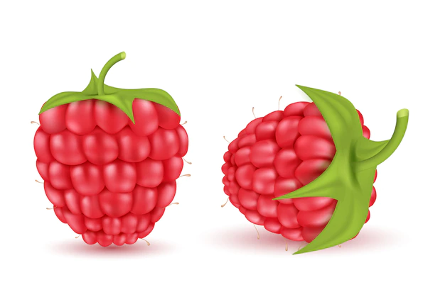Free Vector | Realistic red ripe raspberries isolated on background. natural summer fruit