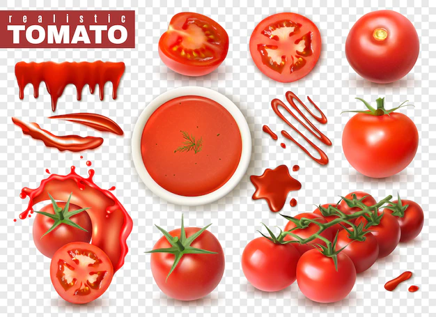 Free Vector | Realistic tomato on transparent  set with isolated images of whole fruits slices splashes of juice