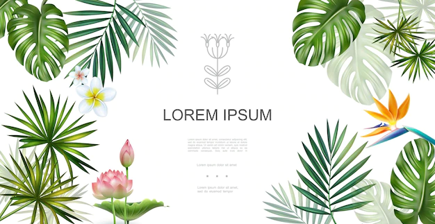 Free Vector | Realistic tropical plants floral concept with frangipani lotus bird of paradise flowers monstera and palm leaves