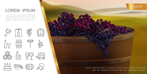 Free Vector | Realistic wine and grapes elements concept with wooden vat of fresh red grapes and wine linear icons