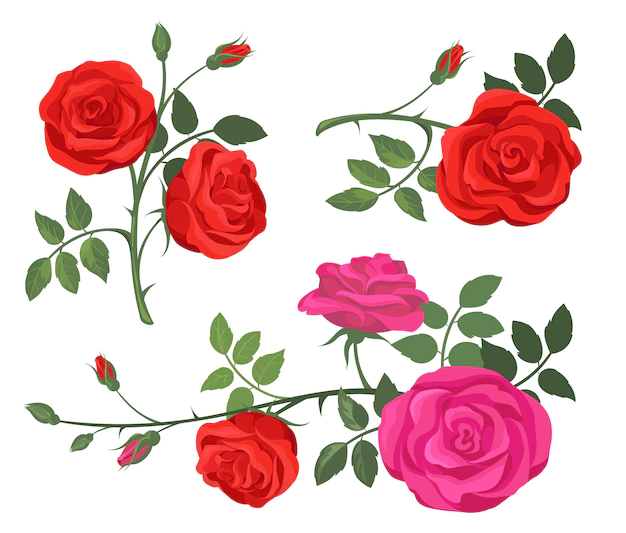 Free Vector | Red and purple roses set