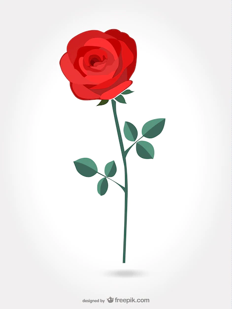 Free Vector | Red artistic rose