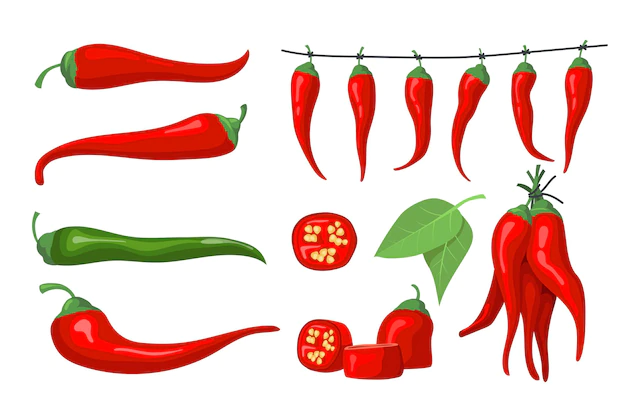 Free Vector | Red chili pepper set