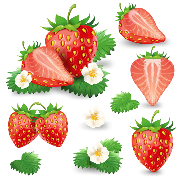 Free Vector | Ripe strawberry with leaves and blossom vector set