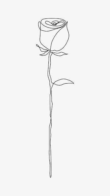 Free Vector | Rose flower line drawing vector