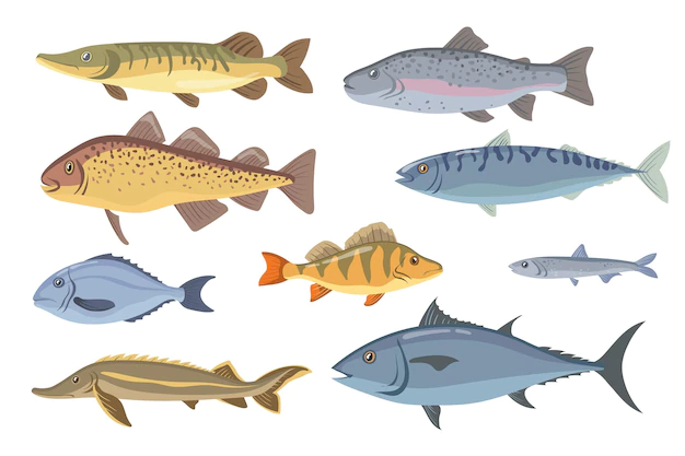 Free Vector | Sea and freshwater fish set.
