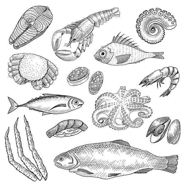 Free Vector | Seafood sketches set