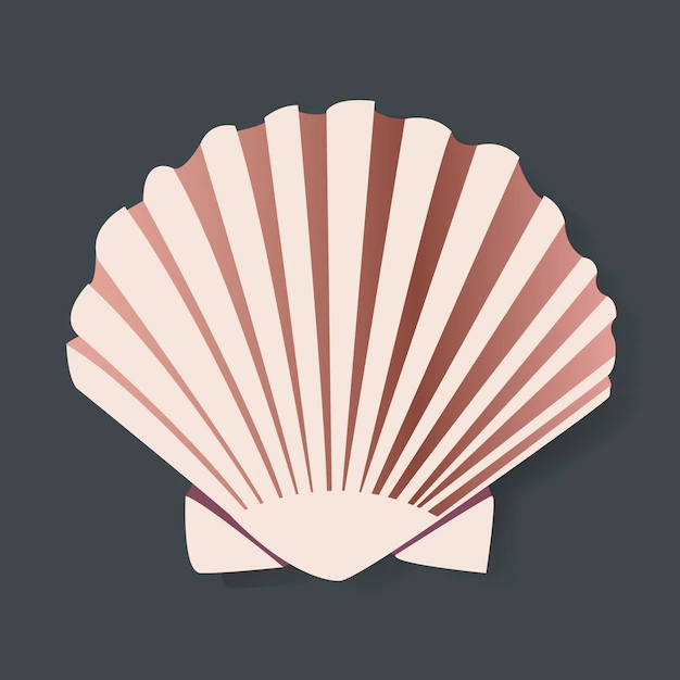 Free Vector | Seashell vectot illstration graphic design
