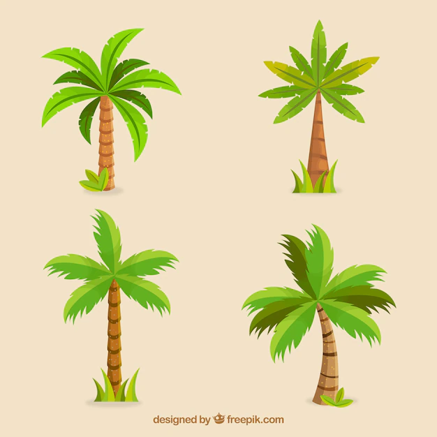 Free Vector | Set of beautiful palm trees