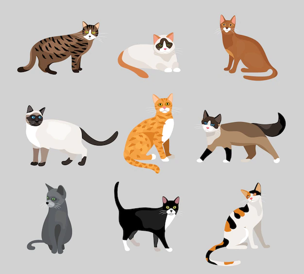 Free Vector | Set of cute cartoon kitties or cats with different colored fur and markings standing, sitting or walking