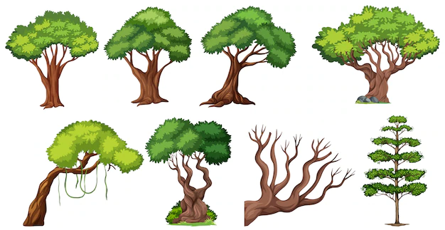Free Vector | Set of different tree