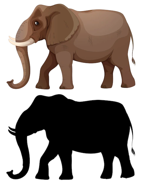 Free Vector | Set of elephant character